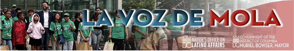 La Voz de Mola