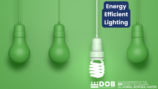 Energy Efficient Lighting