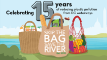 15 Years of Bag Law