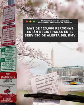 Ticket Alert Service