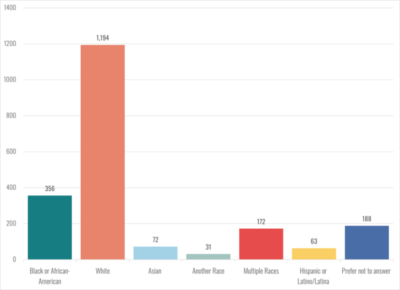 Survey Respondents - Race