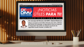Spanish Newsletter