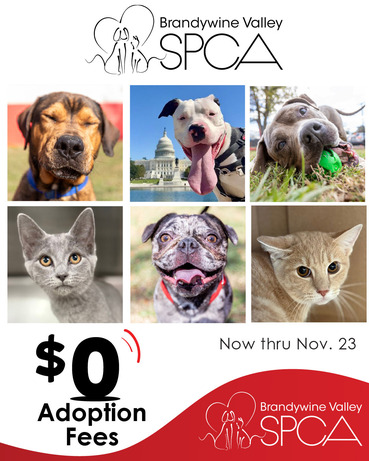 Brandywine Valley SPCA