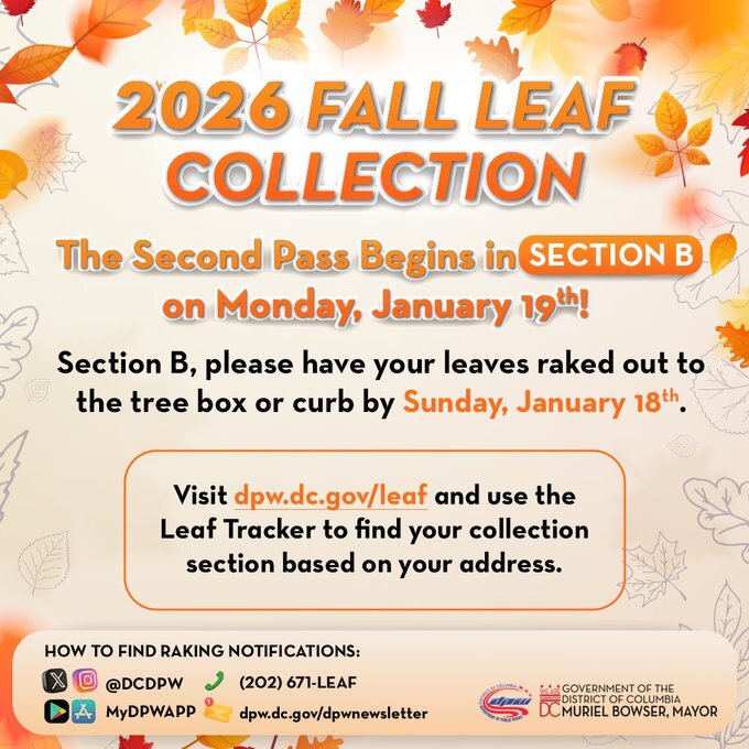 Second Pass Section B