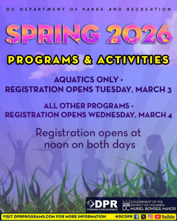DPR Spring Programming