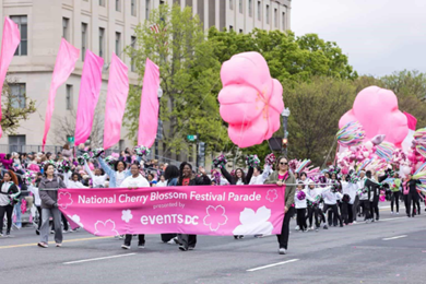 Image from a past Cherry Blossom parade. 