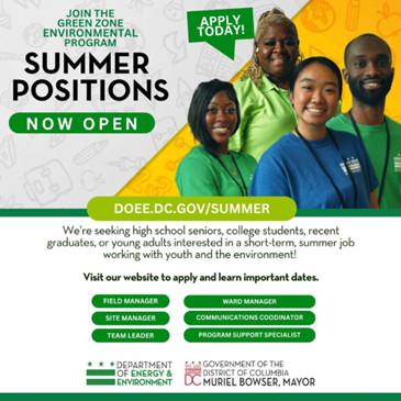 Summer opportunities for young people at the Department of Energy and Environment. 