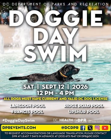 Image promotes DPR's upcoming Doggie Day Swim at four pools on Saturday, September 12.