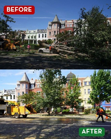 Image shows before and after photos from the storm cleanup. 