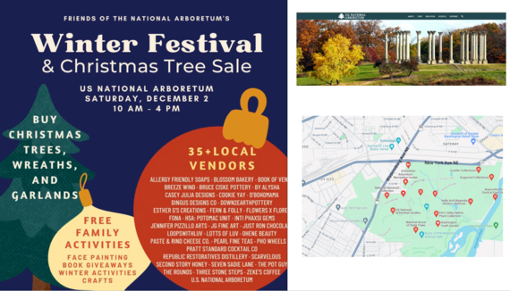 Winter Fest and Christmas Tree Sale  