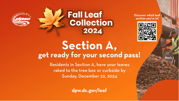 Leaf Collection
