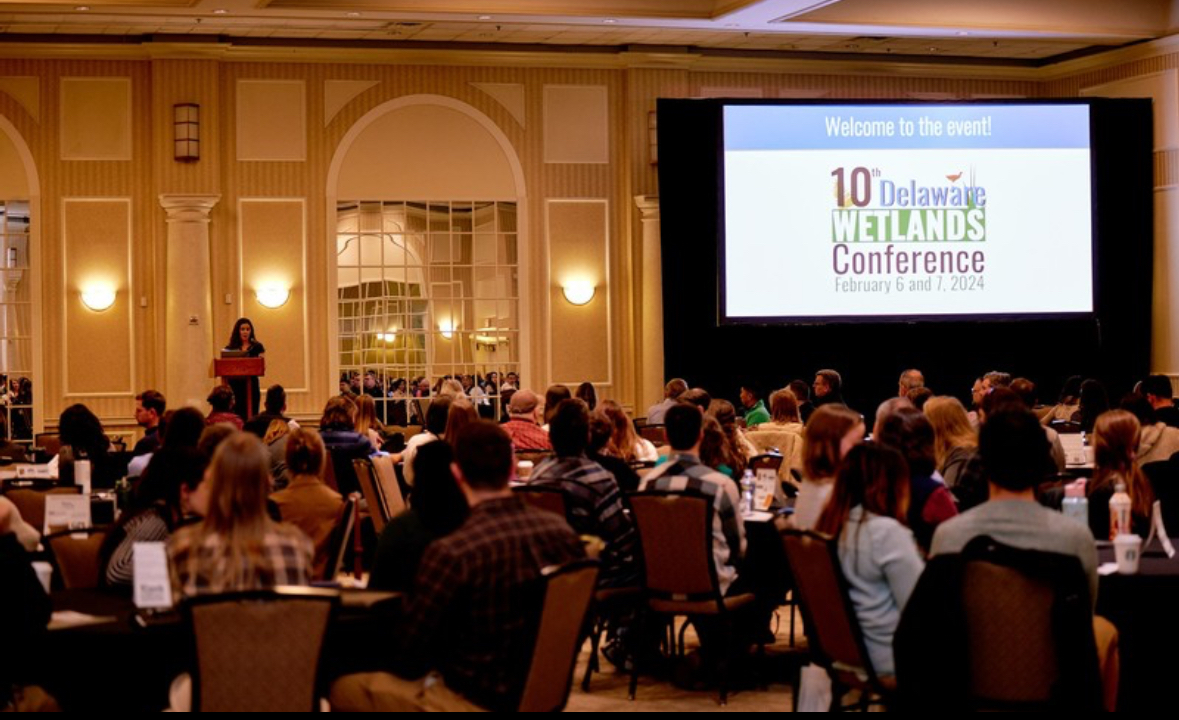 Participants sitting at tables at the Delaware Wetlands Conference