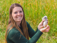 American Kestrel Conservation Project