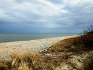 DNREC to Offer Earth Day Beach Cleanup, Kids Crafts