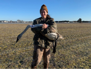 Tundra Swan Monitoring