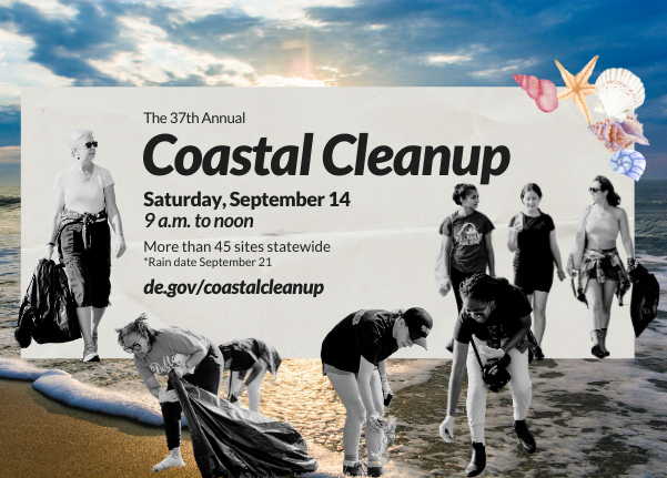 Coastal Cleanup