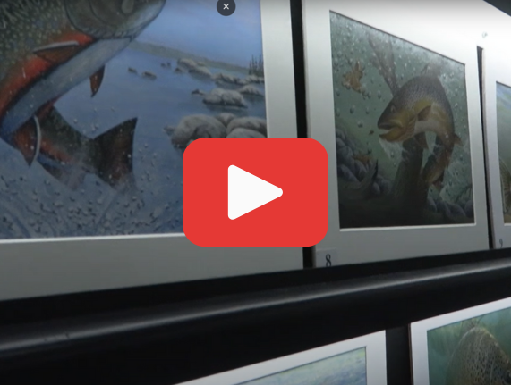 Delaware Waterfowl and Trout Stamp Contests