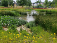 Water Quality Grant Proposal