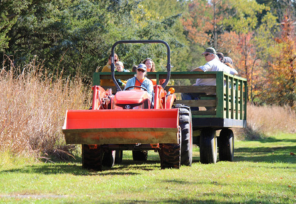 Blackbird Creek Fall Festival