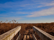 Delaware Faces Dry Conditions: Open Burning Ban Issued, Water Conservation Urged