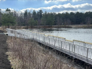 Spring Pond Trout Season to Open With Youth-Only Day March 1, Followed by Regular Downstate Opener March 2