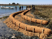DNREC to Host Introduction to Living Shorelines Training on March 25 and 26