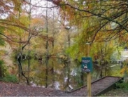 Trussum Pond boat launch