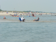 DNREC Seeks Ocean Connection Stories