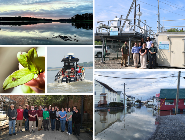 Sky, tick on a leaf, people on a boat, DNREC inspectors, MLK Air monitoring station, flood in a town