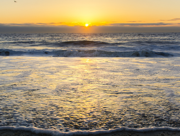 View of ocean from the beach at Cape Henlopen State Park