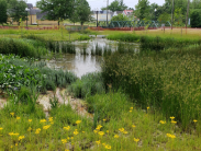 DNREC Soliciting Project Proposals for Surface Water Matching Planning Grants