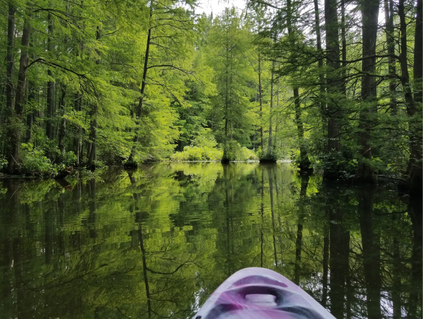 Kayak in water