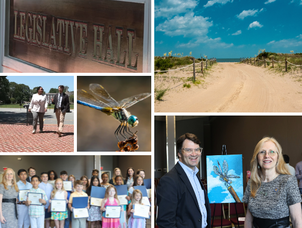 dragonfly, legislative hall, people smiling, beach