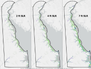 Delaware Suitability Marsh Migration Study Model
