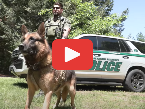 DNRP officer with K-9 officer