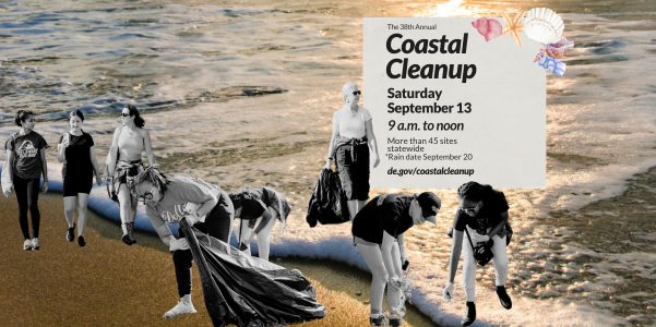 38th Annual Delaware Coastal Cleanup, Saturday, Sept. 13, 9 a.m. to noon, rain date Sept. 20. Visit de.gov/coastalcleanup