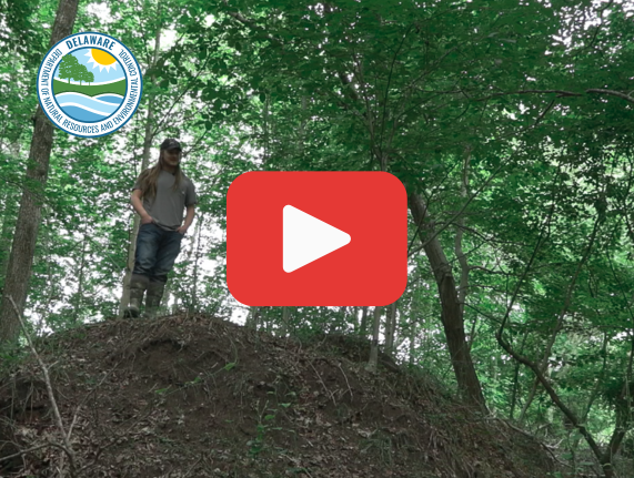 Person in field gear standing on a wooded hillside with DNREC logo and a YouTube play button overlay.