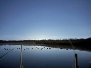 Hunting and Fishing Decoys Under the Stars