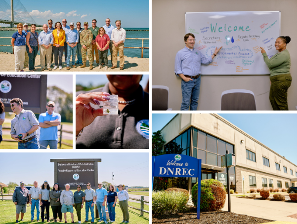 Collage of DNREC staff and partners in meetings, site visits, and group photos at offices and outdoor locations.