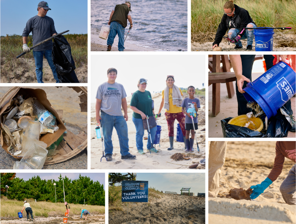 Collage of volunteers cleaning up trash along Delaware beaches and dunes during a coastal cleanup event.