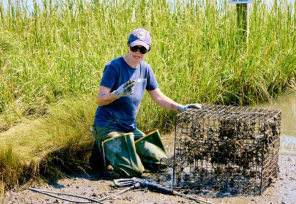 A woman kneels on a muddy shore next a crab pot.
