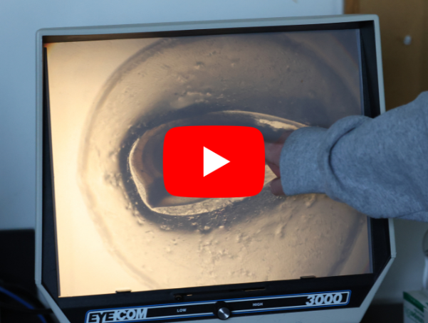 Hand points to image of fish on computer with YouTube play button over it