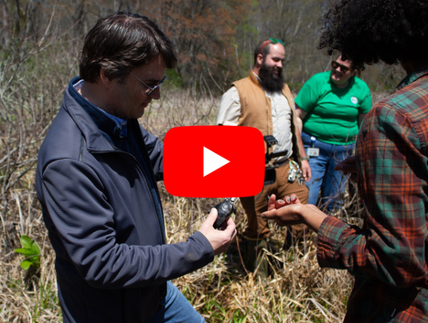 DNREC staff in the field with bog turtles.