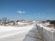 State’s fragile dune system, which covers coastal areas at Cape Henlopen State Park and Delaware Seashore State Park 