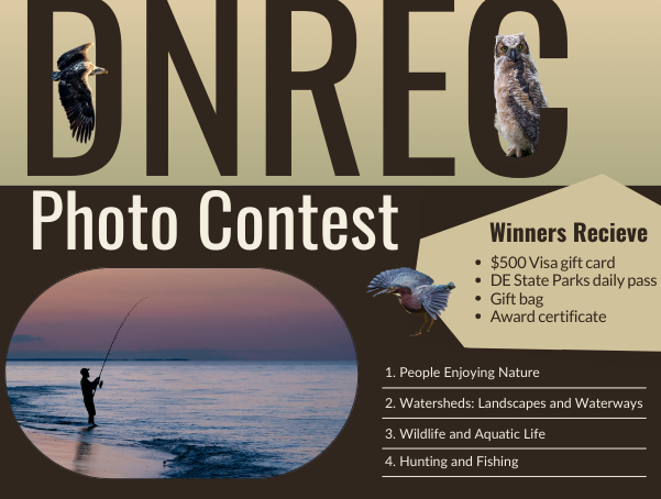 DNREC Photo Contest flyer with wildlife images and an angler fishing at the shoreline. Lists four photo categories and prizes for winners