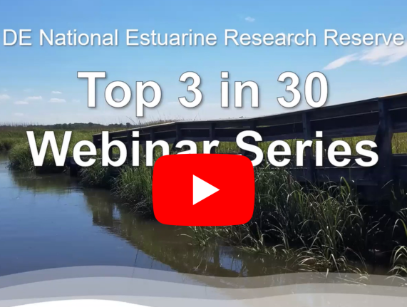Top 3 in 30 Webinar Series: PFAS in Delaware