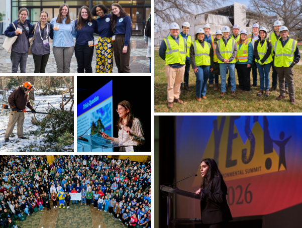 Field Trip Friday collage of the past four trips