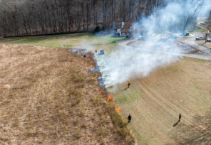 Flames and smoke rise from the edge of a field near where several individuals in protective gear stand.