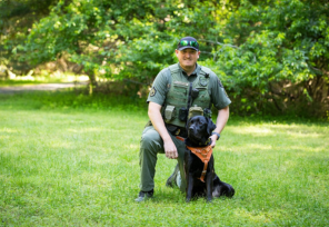Cash, a black Labrador retriever, sits with handler Sgt. Travis Anderson on grass, trained to track suspects, wildlife and evidence.