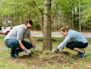 Two people planting a tree. 